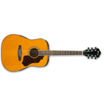 IBANEZ SGT120E ATN akustična kitara